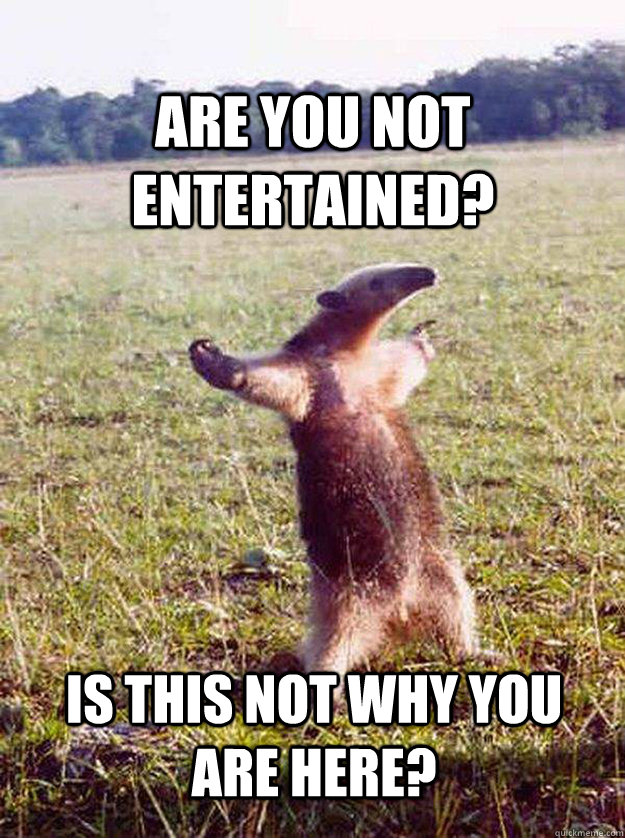 ARE YOU NOT ENTERTAINED? IS THIS NOT WHY YOU ARE HERE?  anteater