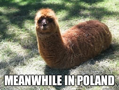  Meanwhile in poland -  Meanwhile in poland  Alpacapillar