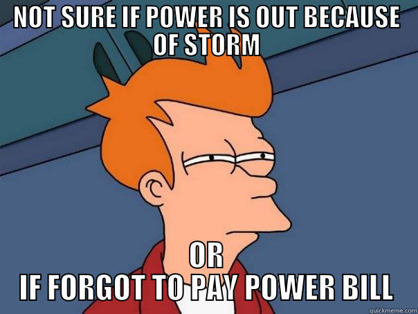 LOSING POWER - NOT SURE IF POWER IS OUT BECAUSE OF STORM OR IF FORGOT TO PAY POWER BILL Futurama Fry