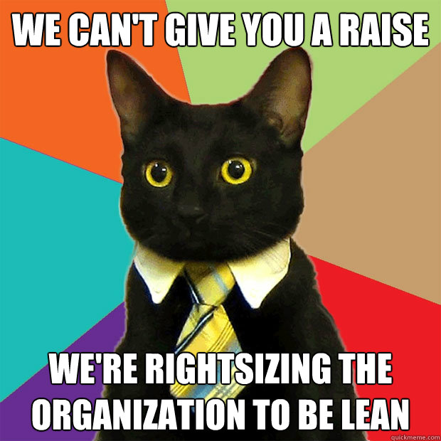 We can't give you a raise We're rightsizing the organization to be LEAN  Business Cat
