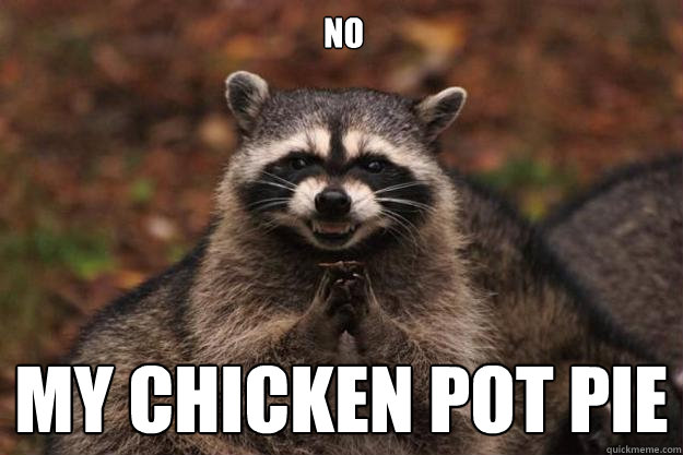 nO mY CHICKEN POT PIE  Evil Plotting Raccoon