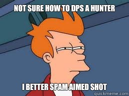 Not sure how to DPS a hunter I better spam aimed shot  Meme