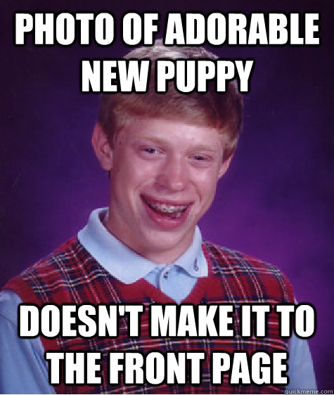 photo of adorable new puppy doesn't make it to the front page  Bad Luck Brian