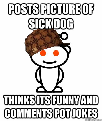 Posts Picture of Sick Dog Thinks its funny and comments pot jokes  Scumbag Reddit