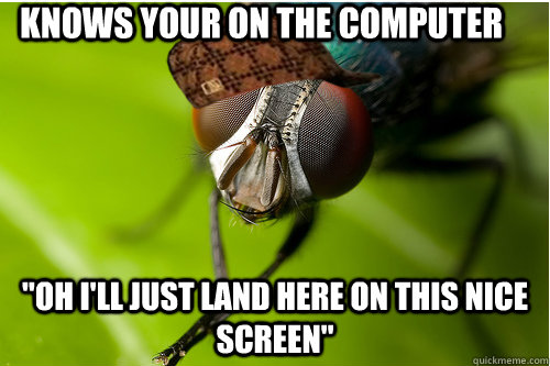 knows your on the computer 