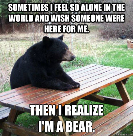 Sometimes I feel so alone in the world and wish someone were here for me. Then I realize 
I'm a bear.  waiting bear