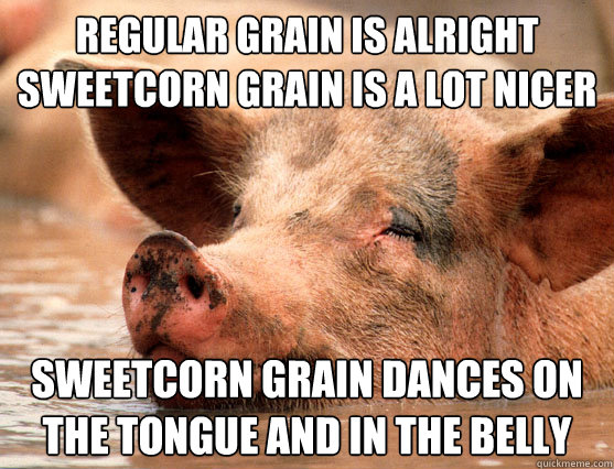 regular grain is alright sweetcorn grain is a lot nicer sweetcorn grain dances on the tongue and in the belly  Stoner Pig