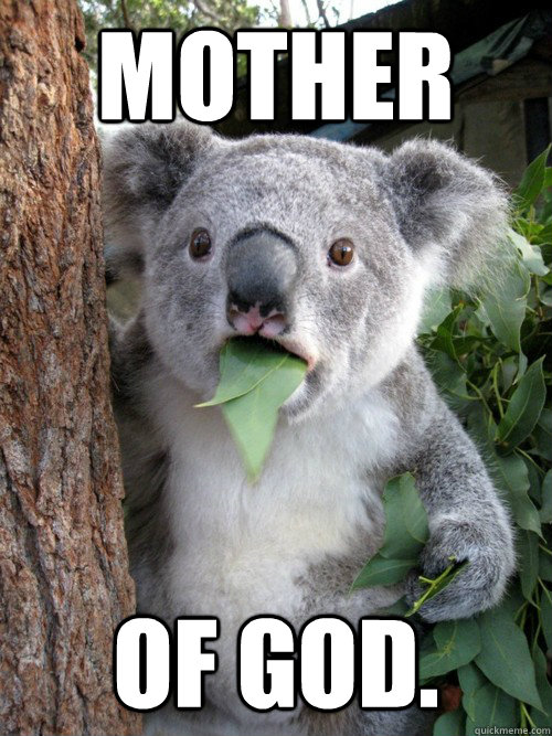 MOTHER OF GOD.  Shocked Koala