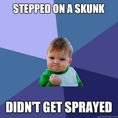 Stepped on a skunk Didn't get sprayed   Success Kid