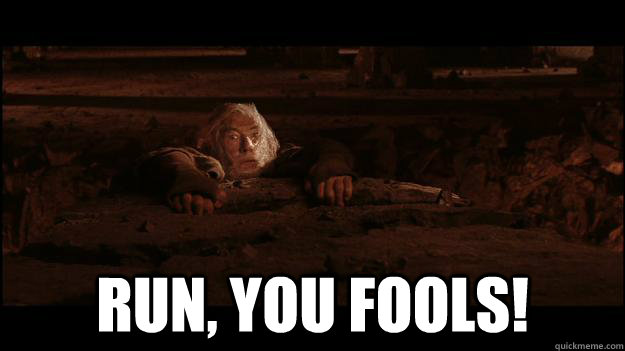  RUN, YOU FOOLs!  Gandalf