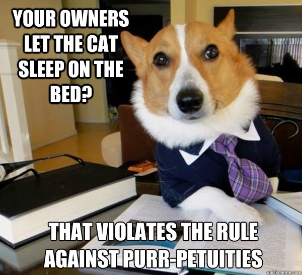 Your owners let the cat sleep on the bed? That Violates the rule 
against Purr-petuities - Your owners let the cat sleep on the bed? That Violates the rule 
against Purr-petuities  Lawyer Dog
