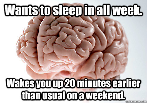 Wants to sleep in all week. Wakes you up 20 minutes earlier than usual on a weekend.   Scumbag Brain