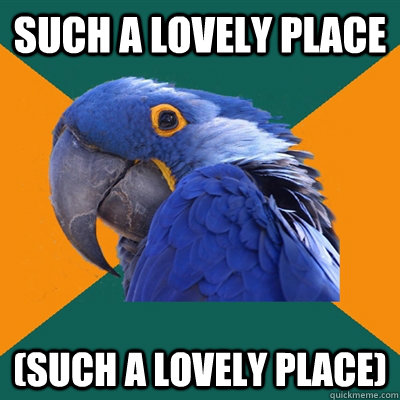 Such a lovely place (Such a lovely place)  Paranoid Parrot