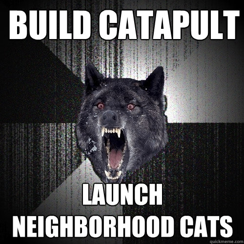 build catapult launch neighborhood cats   Insanity Wolf