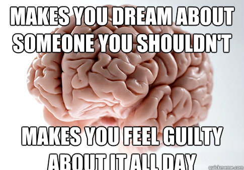 Makes you dream about
someone you shouldn't Makes you feel guilty about it all day  Scumbag Brain