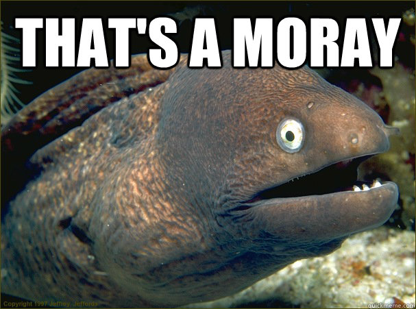 That's a moray  - That's a moray   Bad Joke Eel