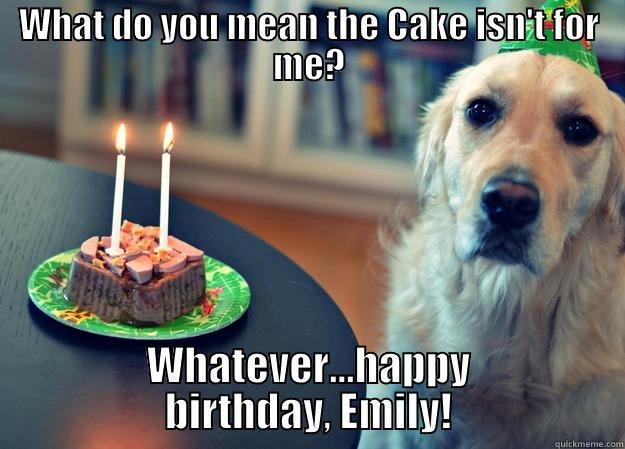WHAT DO YOU MEAN THE CAKE ISN'T FOR ME? WHATEVER...HAPPY BIRTHDAY, EMILY! Sad Birthday Dog