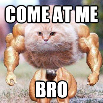 COME AT ME  BRO  Come at me bro