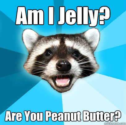 Am I Jelly? Are You Peanut Butter?  Lame Pun Coon