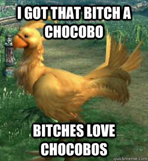 I got that Bitch a Chocobo Bitches love Chocobos  