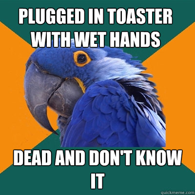 plugged in toaster with wet hands Dead and don't know it  Paranoid Parrot