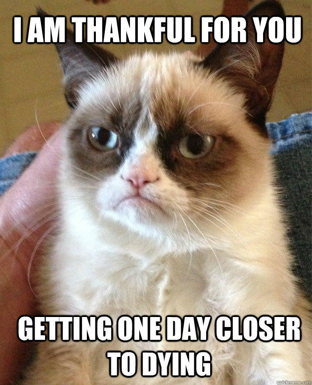 I am thankful for you Getting one day closer to dying - I am thankful for you Getting one day closer to dying  Grumpy Cat
