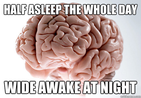 Half asleep the whole day Wide awake at night - Half asleep the whole day Wide awake at night  Scumbag Brain