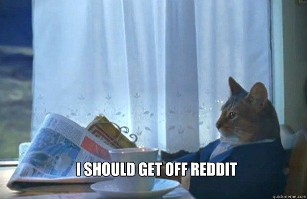 I should get off reddit  Sophisticated Cat