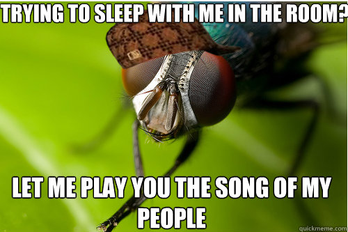 Trying to sleep with me in the room? Let me play you the song of my people  Scumbag Fly