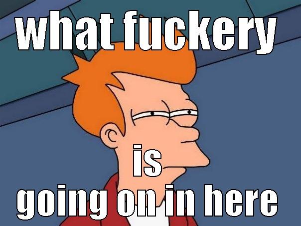 WHAT FUCKERY IS GOING ON IN HERE Futurama Fry