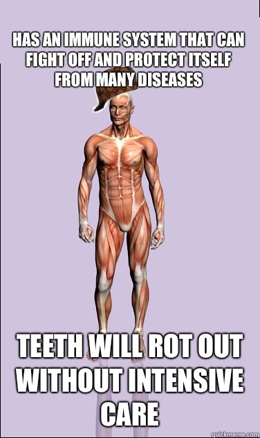 Has an immune system that can fight off and protect itself from many diseases Teeth will rot out without intensive care - Has an immune system that can fight off and protect itself from many diseases Teeth will rot out without intensive care  Misc