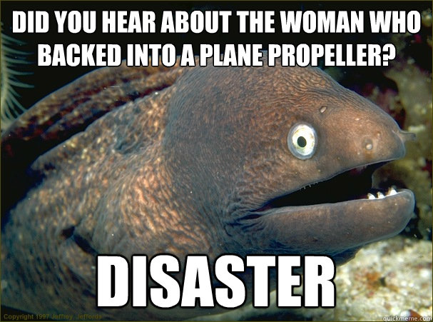 Did you hear about the woman who backed into a plane propeller? Disaster  Bad Joke Eel