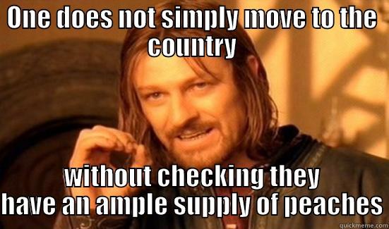 ONE DOES NOT SIMPLY MOVE TO THE COUNTRY WITHOUT CHECKING THEY HAVE AN AMPLE SUPPLY OF PEACHES Boromir
