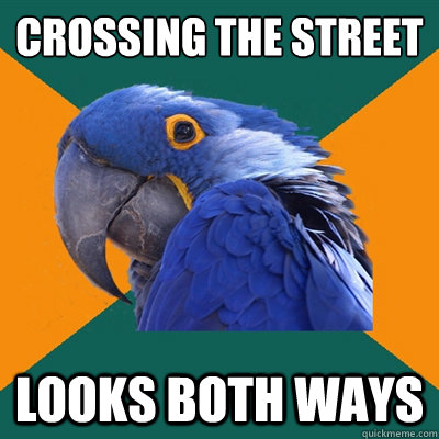 Crossing the street looks both ways  Paranoid Parrot