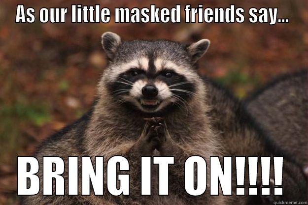 Bring it on - AS OUR LITTLE MASKED FRIENDS SAY... BRING IT ON!!!! Evil Plotting Raccoon