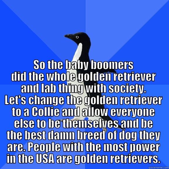  SO THE BABY BOOMERS DID THE WHOLE GOLDEN RETRIEVER AND LAB THING WITH SOCIETY. LET'S CHANGE THE GOLDEN RETRIEVER TO A COLLIE AND ALLOW EVERYONE ELSE TO BE THEMSELVES AND BE THE BEST DAMN BREED OF DOG THEY ARE. PEOPLE WITH THE MOST POWER IN THE USA ARE GOL Socially Awkward Penguin