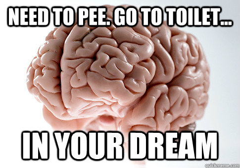 NEED TO PEE. GO TO TOILET... IN YOUR DREAM  Scumbag Brain