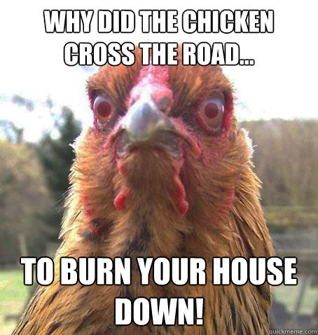 Why did the chicken cross the road... to burn your house down!  RageChicken
