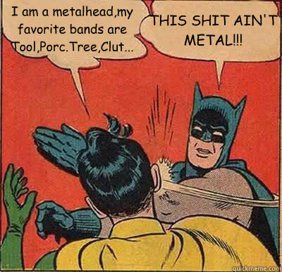 I am a metalhead,my favorite bands are Tool,Porc.Tree,Clut... THIS SHIT AIN'T METAL!!!  Batman Slapping Robin