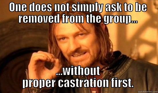 ONE DOES NOT SIMPLY ASK TO BE REMOVED FROM THE GROUP... ...WITHOUT PROPER CASTRATION FIRST. Boromir