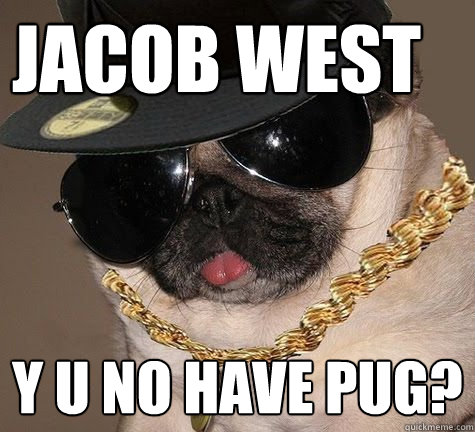 jacob west y u no have pug?  Gangster Pug