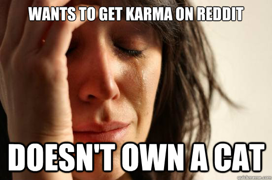 Wants to get karma on reddit Doesn't own a cat  First World Problems
