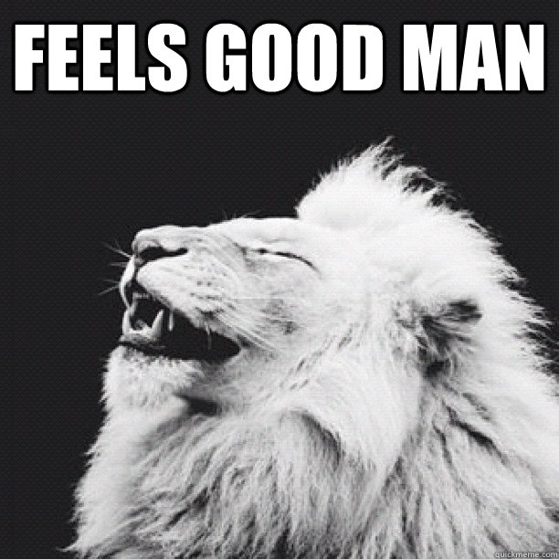 feels good man   Feels good Tiger