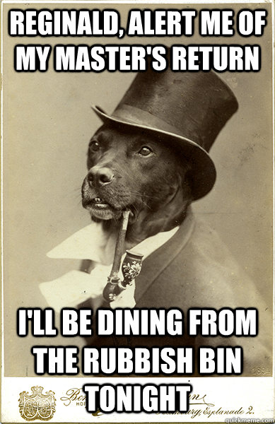 Reginald, alert me of my master's return I'll be dining from the rubbish bin tonight - Reginald, alert me of my master's return I'll be dining from the rubbish bin tonight  Old Money Dog