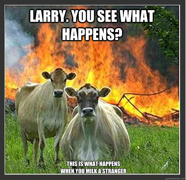 Larry. you see what happens? this is what happens
when you milk a stranger  Evil cows