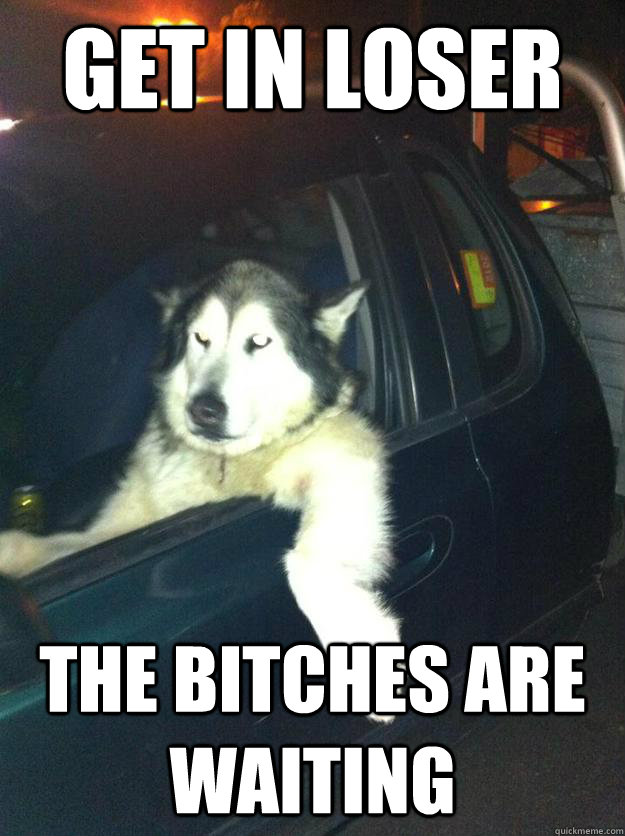 Get in loser the Bitches ARE waiting  - Get in loser the Bitches ARE waiting   Mean Dog