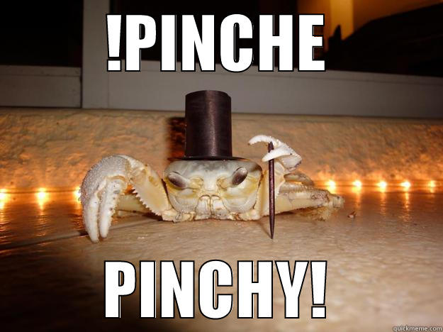 !PINCHE PINCHY! Fancy Crab