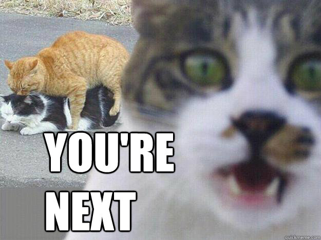YOU'RE NEXT
  Rape cat