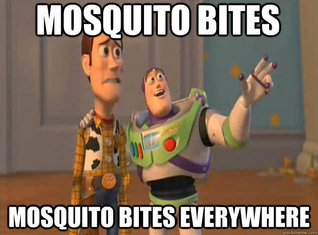 mosquito bites mosquito bites everywhere  Prox Everywhere