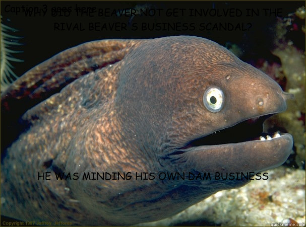 WHY DID THE BEAVER NOT GET INVOLVED IN THE RIVAL BEAVER'S BUSINESS SCANDAL? HE WAS MINDING HIS OWN DAM BUSINESS Caption 3 goes here  Bad Joke Eel
